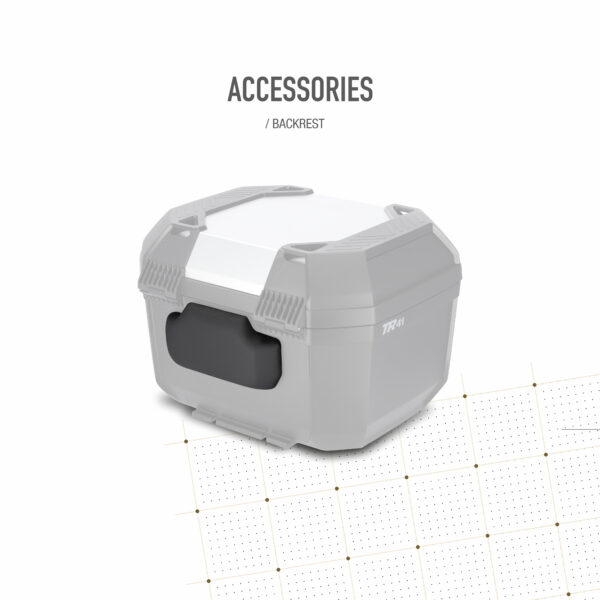 TOP CASE TR41 TERRA ALUMINIUMFARBEN
